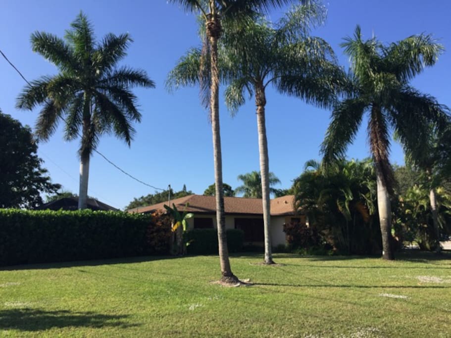 Mango Bungalow