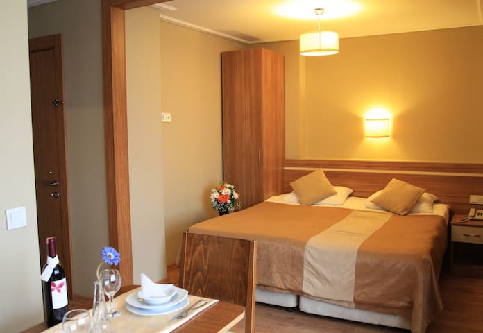 Luxury Apartment Sea View and Balcony