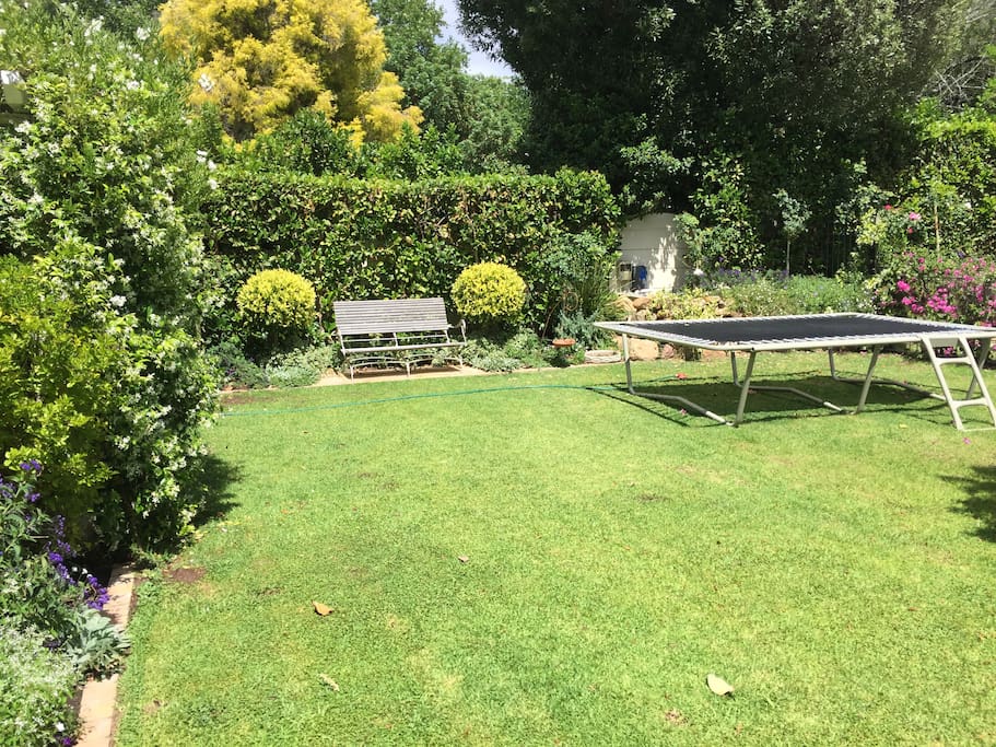 Sunny spacious garden