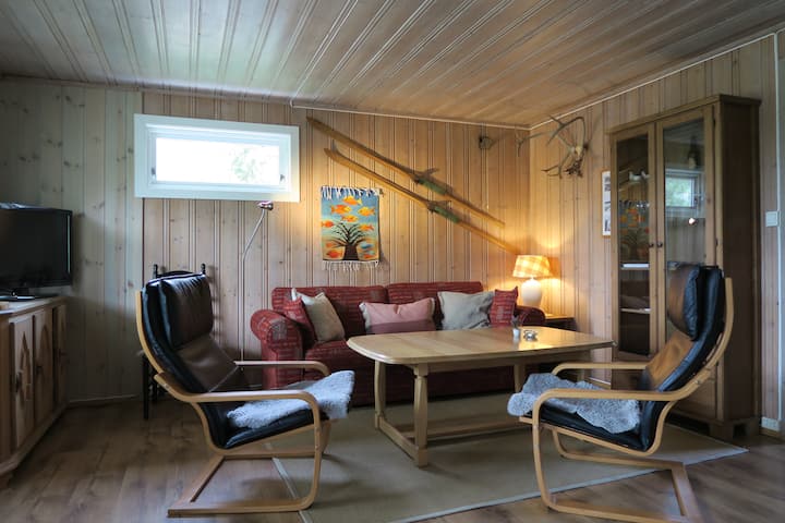 Cozy Cottage With Great Views Of The Lake - Noruega
