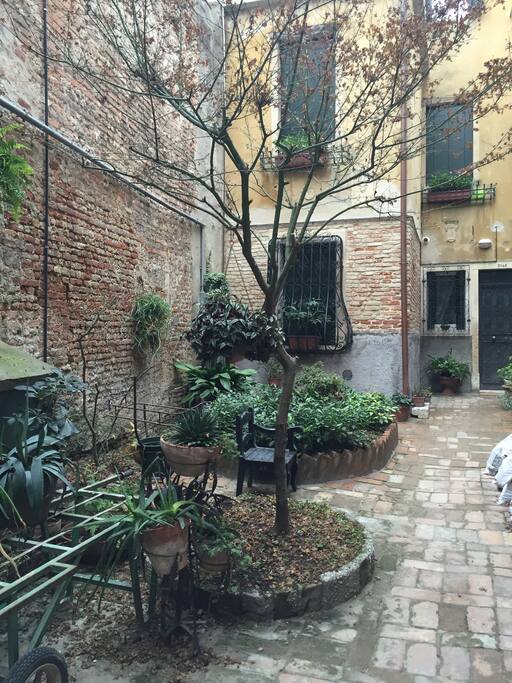 la piccola corte