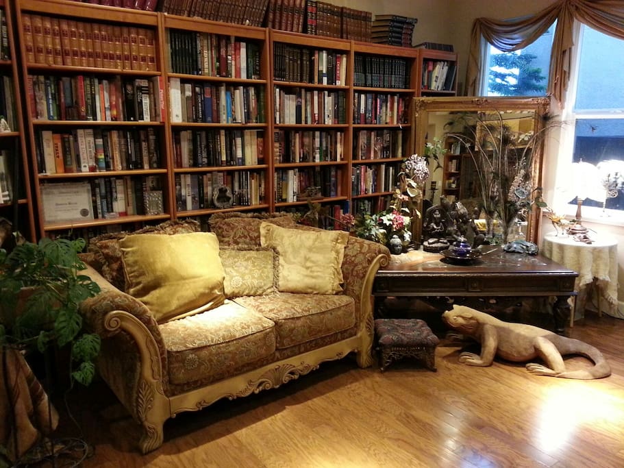 Comfortable library