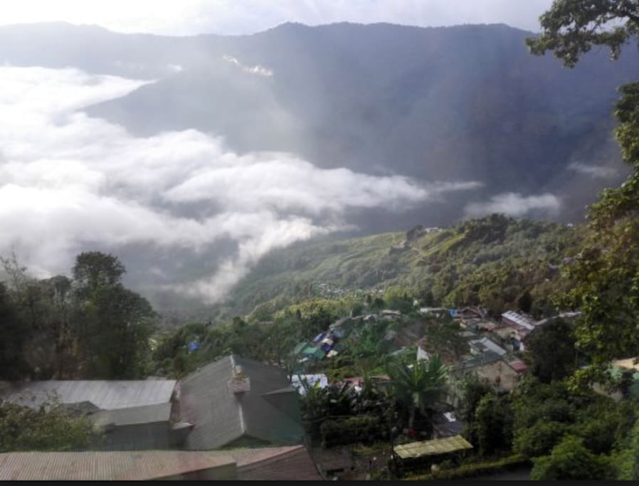 View from your room