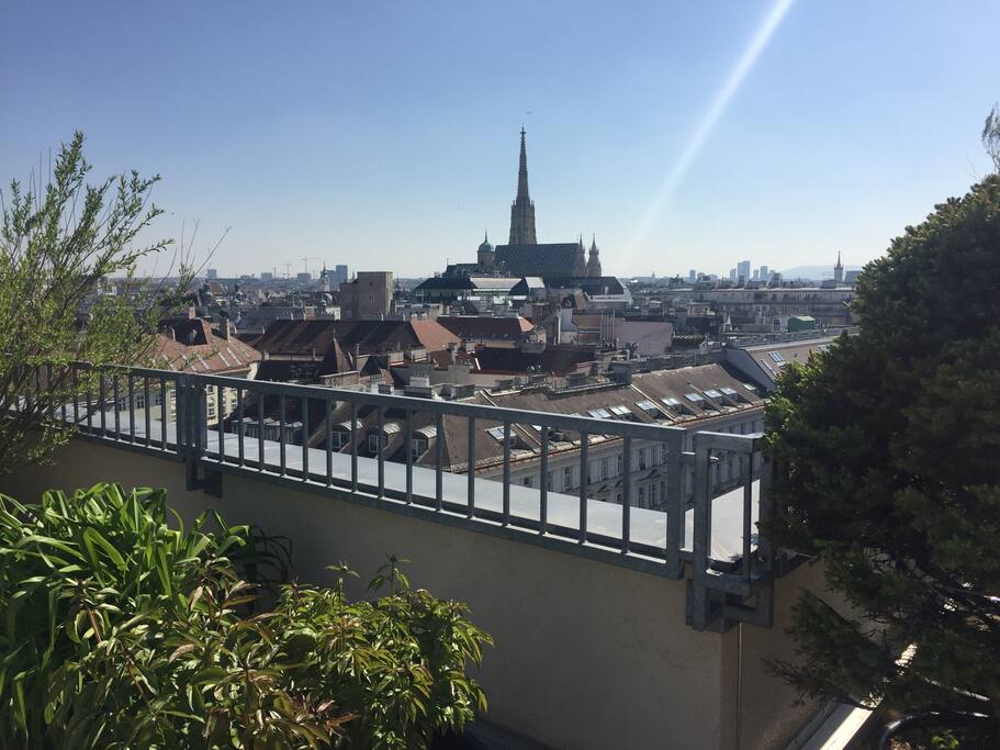 Roof Terrace