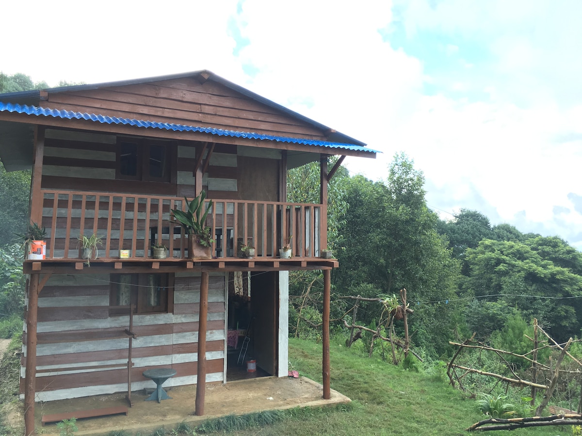 A rustic two-story cottage features wooden siding and a vibrant blue roof. A balcony adorned with potted plants overlooks lush greenery. The ground floor includes an entrance, with the area surrounded by rolling hills and natural landscape.