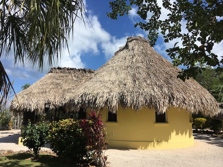 Waterfront Casita! We are Gold Standard Certified! Houses for Rent in