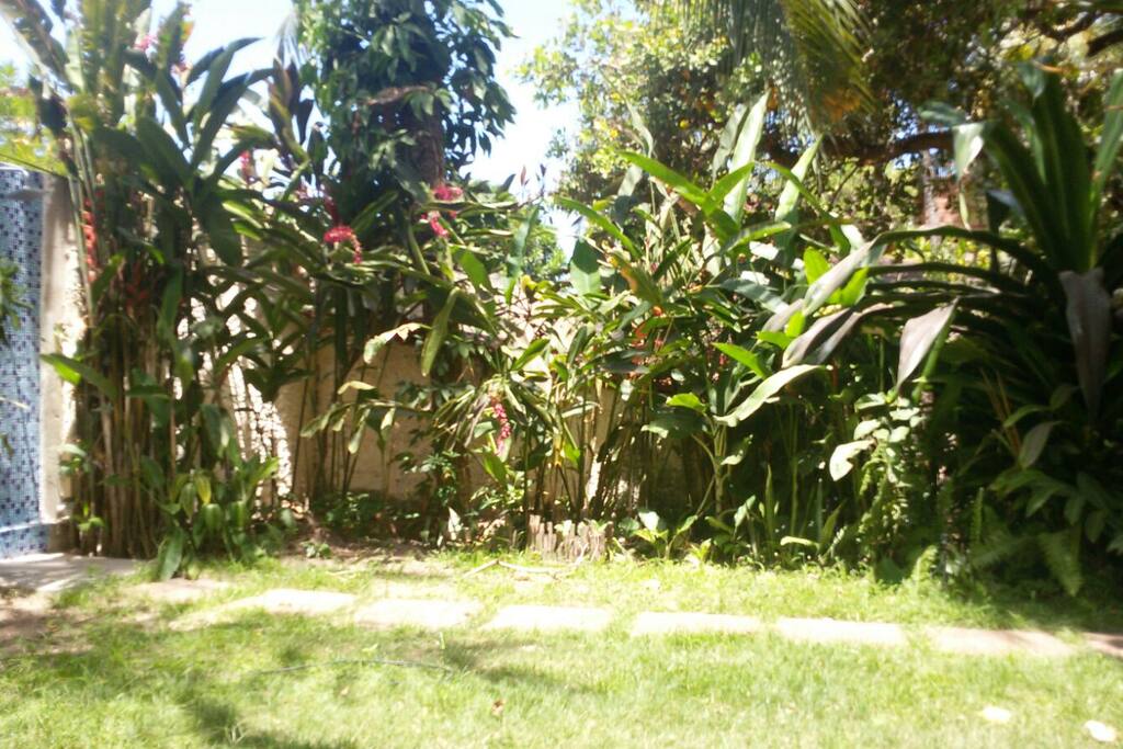 The front garden