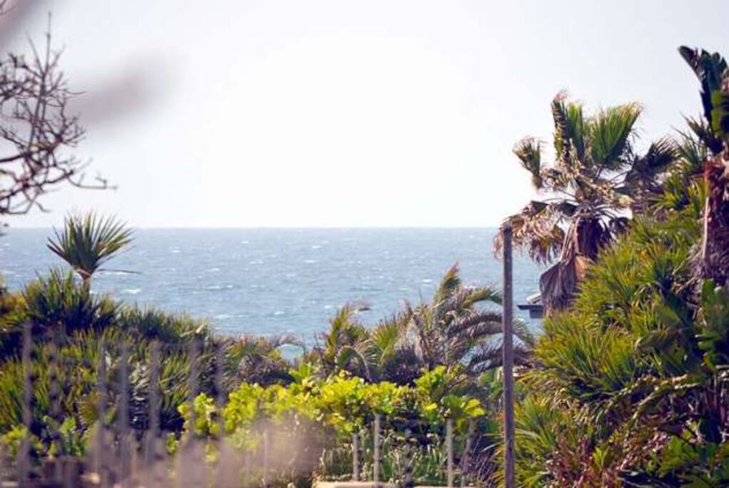 The beach is a 100meter walk down the road Where you will find good fishing rocks and lovely rock pools to swim amoungst.