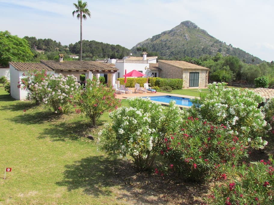 Spacious villa with a big pool and large gardens