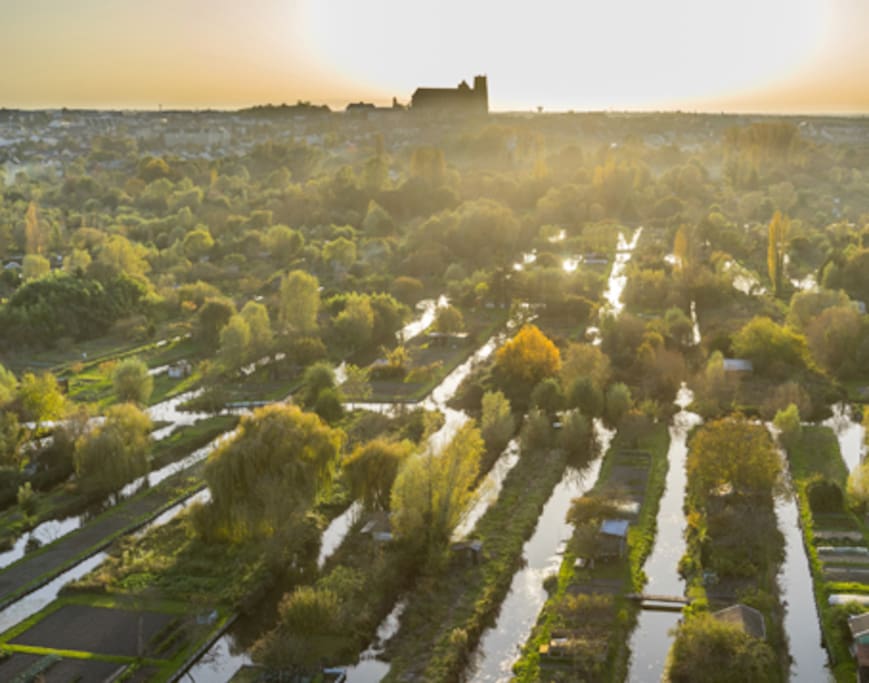 Cathédrale et marais de Bourges