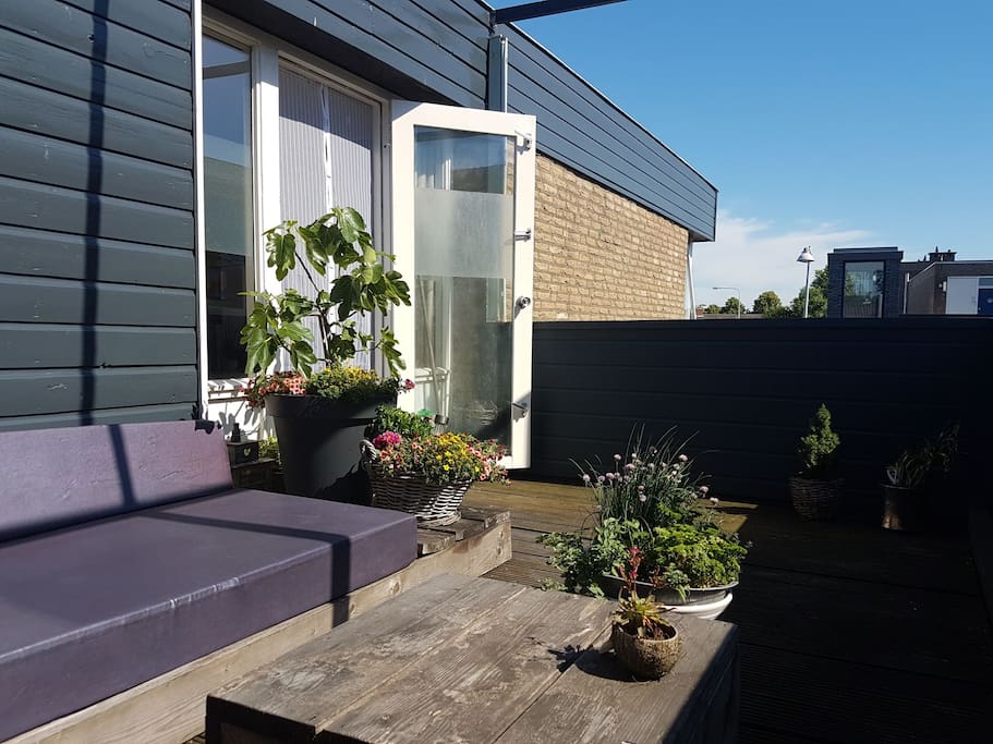 Roof terrace