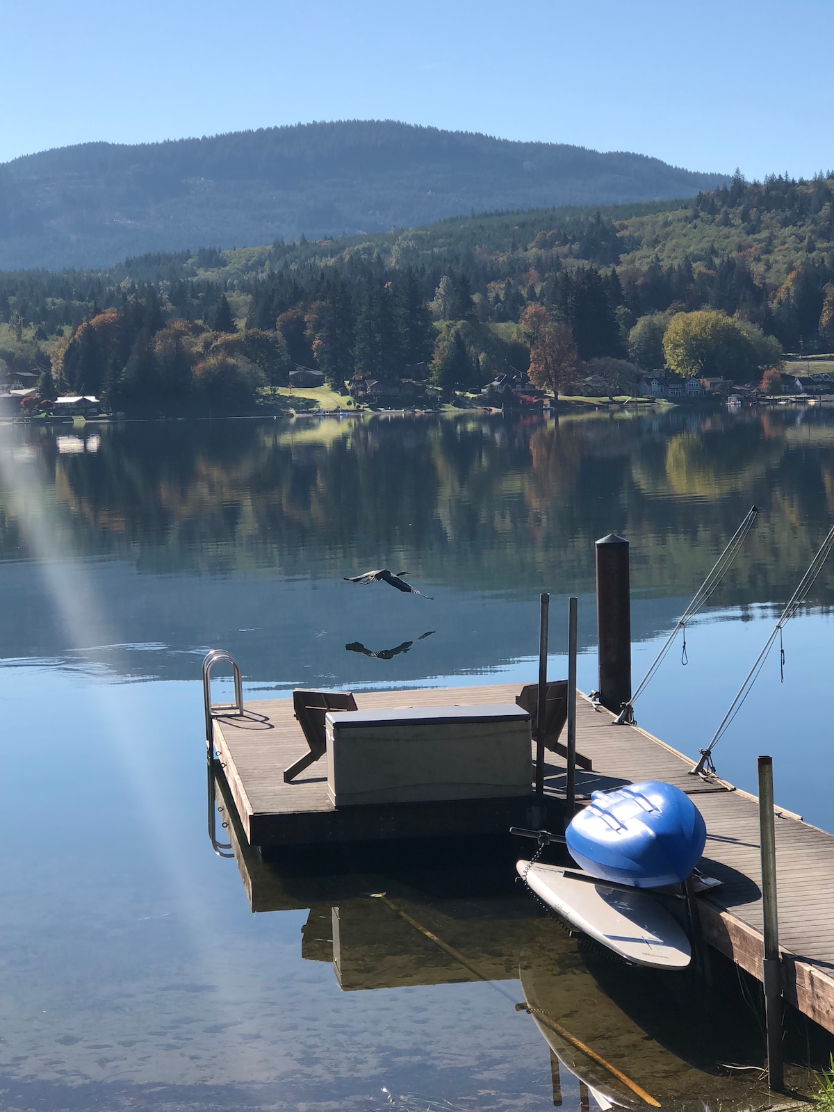 A serene view of a lake is showcased, with calm waters reflecting tree-covered hills. A wooden dock extends into the water, featuring a small table and a blue kayak alongside. A bird is seen in flight above the surface, adding to the tranquil scene.