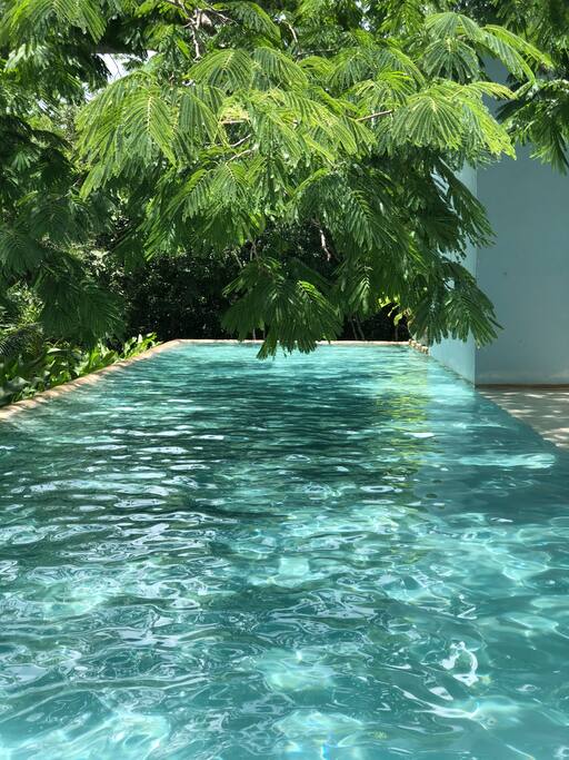amazing pool
