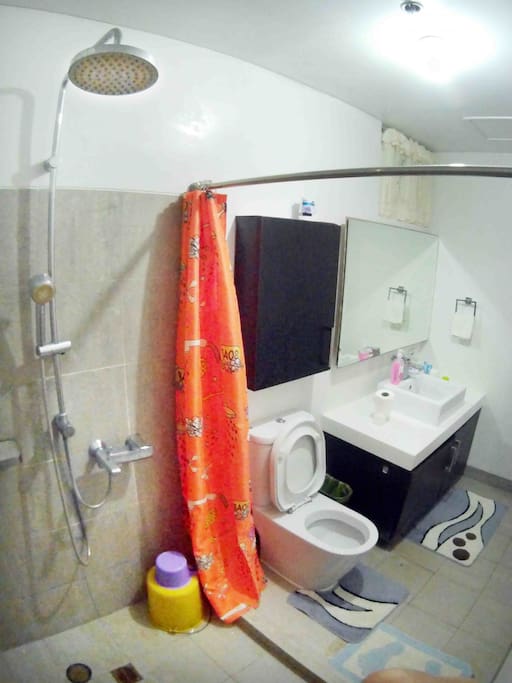 toilet 1