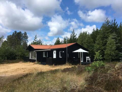 Beautifully located cottage near Skagen