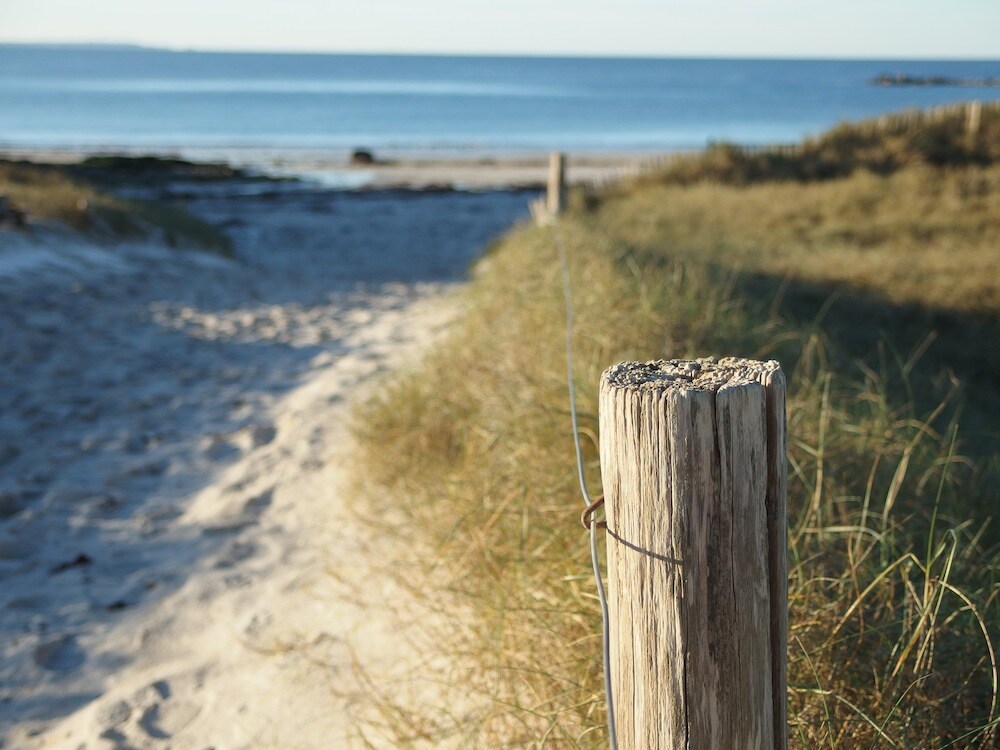 A sandy path leads to the beach, bordered by lush green grass and wooden posts. The tranquil sea stretches into the distance, with calm waves gently lapping at the shore under clear skies.