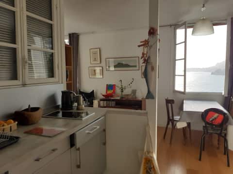 Successful Airbnb property: Small atypical house near Le Corbusier cabin in Roquebrune Cap Martin