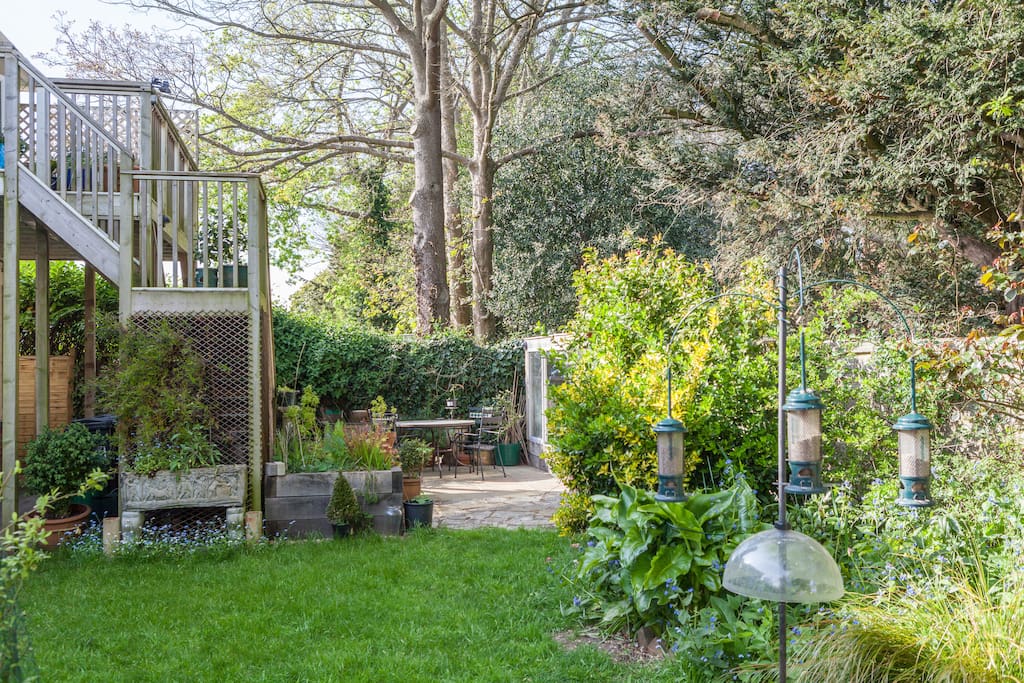 Back garden