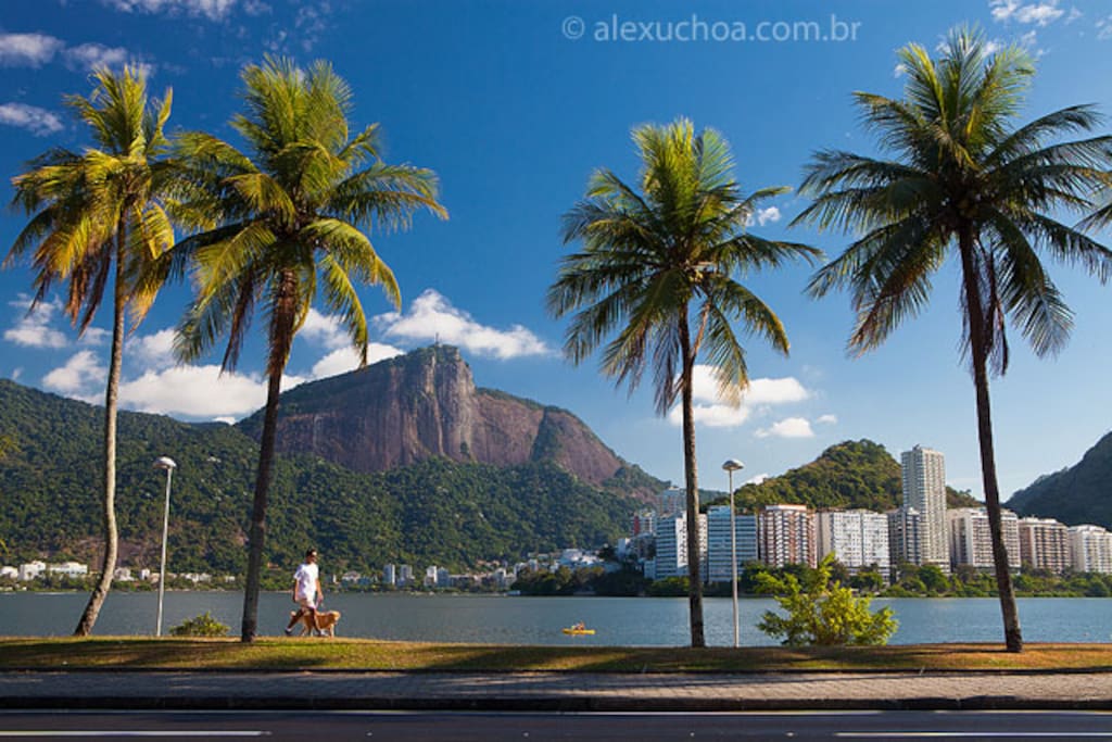 The beautiful Lagoa Rodrigo de Freitas is the perfect place to go for a jog or bike ride and is just 1 block away!