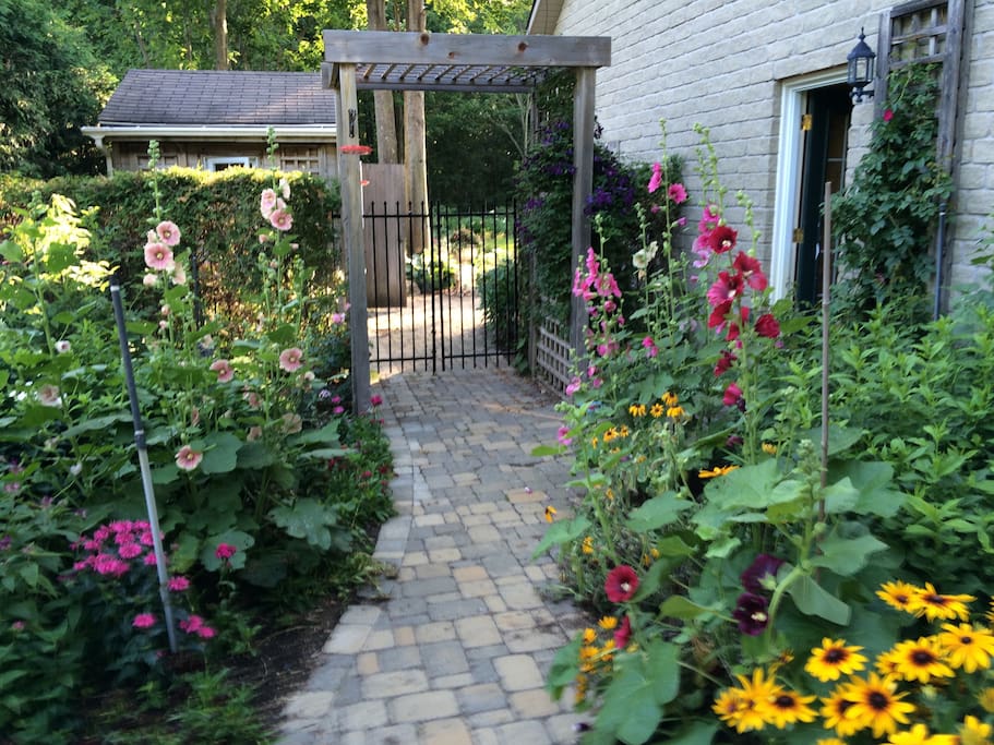 Walkway to back garden