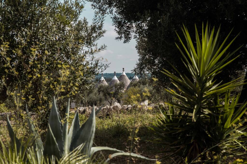 intorno al trullo, scorcio
