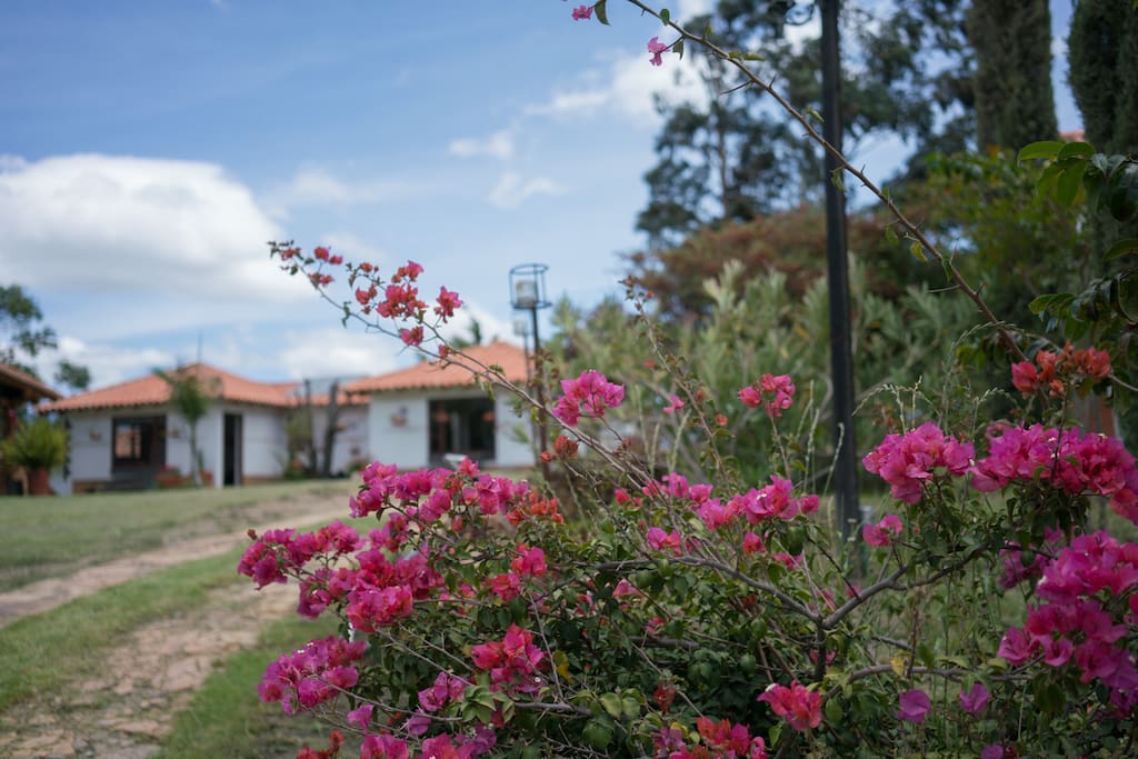Nuestras cabañas