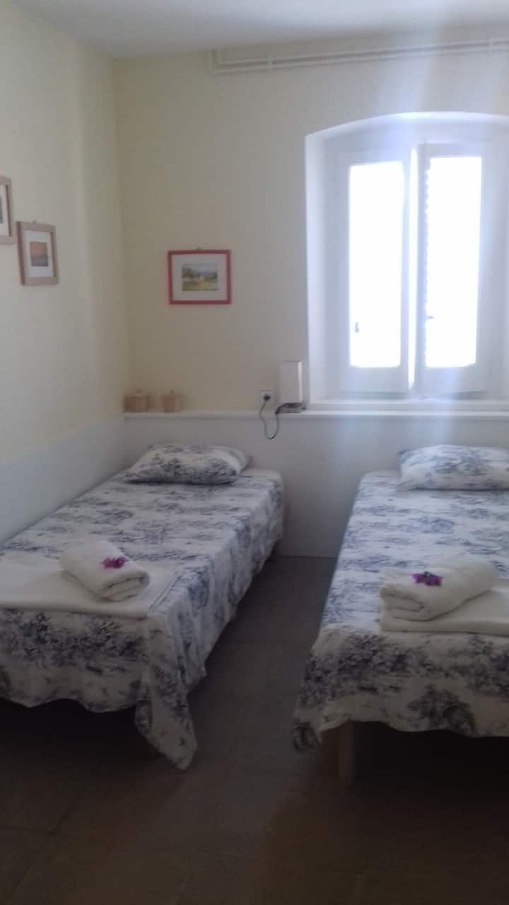 ორადგილიანი ნომერი ქვეყნის ხედით