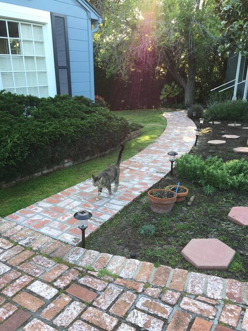 Petite garden and lawn