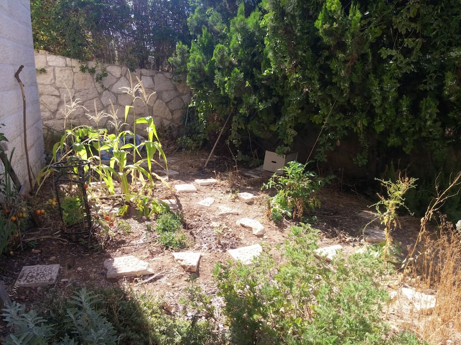 Permaculture-ish garden