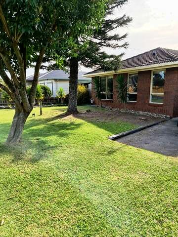 🌞A wave from it all 🌊