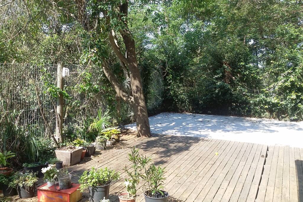 Amplo deck com sol e sombra da árvore.
