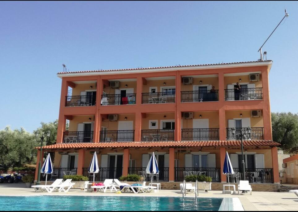 Zante Dolphin Alykes