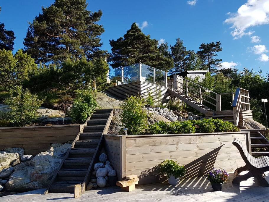 View of the garden