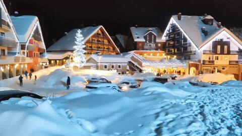 Two-room apartment with ski slopes