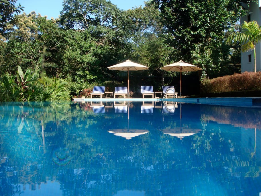 Swimming Pool with Infinity Edges