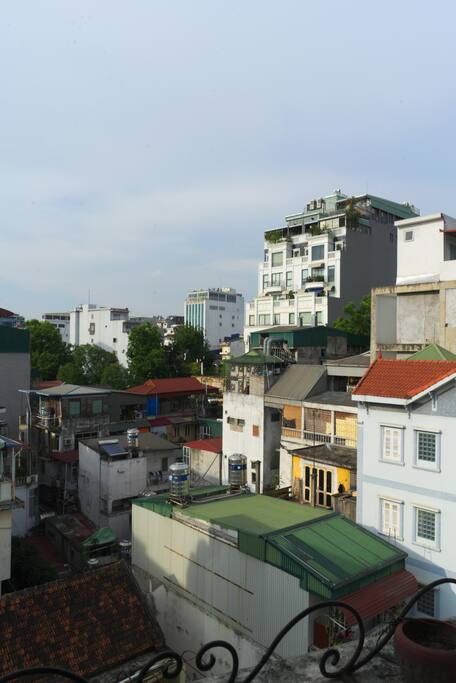 dining room view