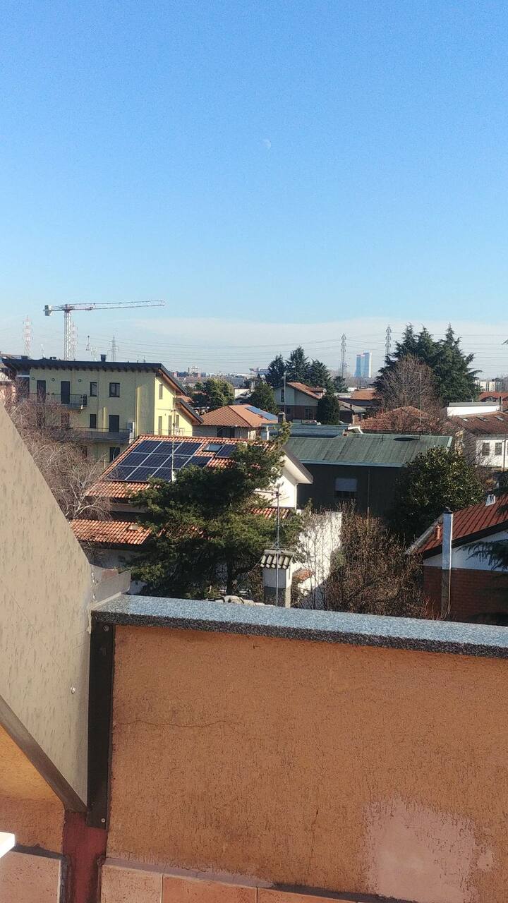 Miosotis in Turin