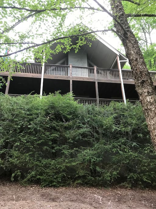 Welcome to Buckberry Lodge, nestled in the Blue Ridge Mountains!