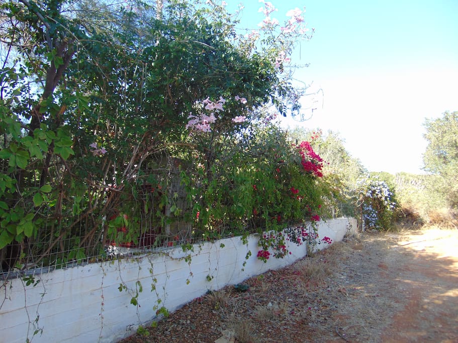 outside of the house