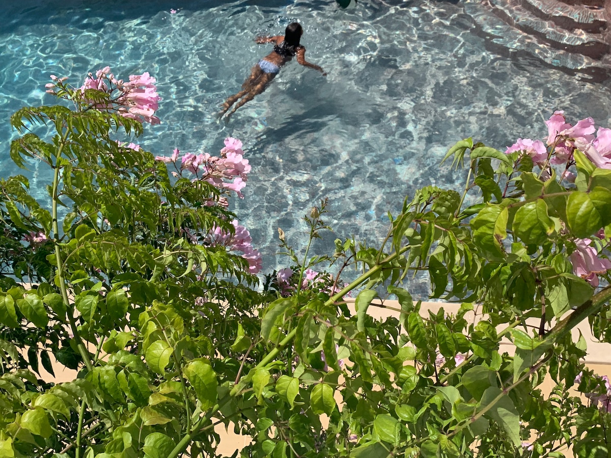 A clear swimming pool is surrounded by lush green foliage and flowering plants. A person is seen swimming gracefully in the water, highlighting the pool's tranquil atmosphere. Sunlight reflects off the surface, creating a sparkling effect.