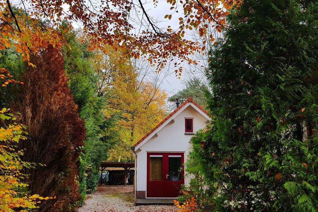 Dennenhuis met carport