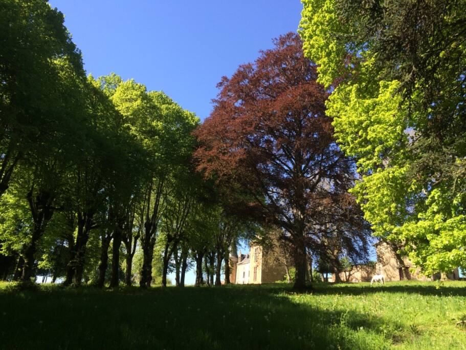 La parc (3 hectares)