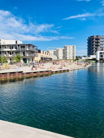 unique beach penthouse close to Copenhagen Centre