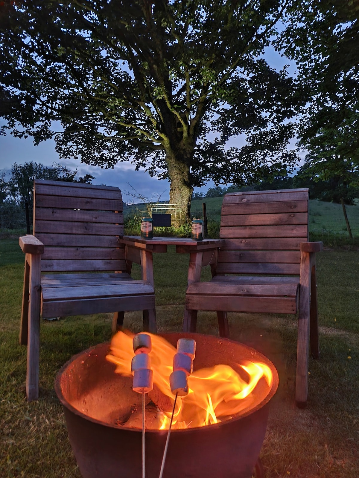 Two wooden chairs are positioned around a firepit, with skewers holding marshmallows roasting over an inviting flame. A large tree provides shade in the background, and the surrounding landscape features grassy fields. The scene is softly illuminated by twilight.