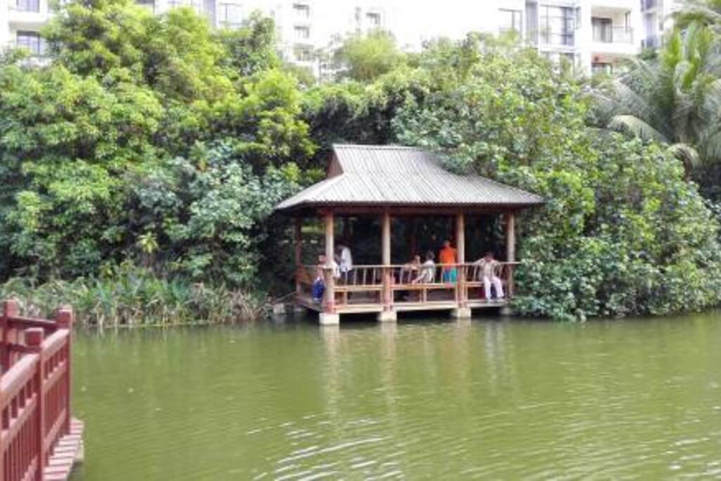 小区水景一角