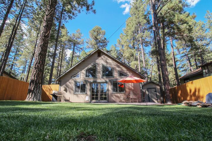 Beautiful Wooded Dream Cabin Backs Forest Service Cabins For
