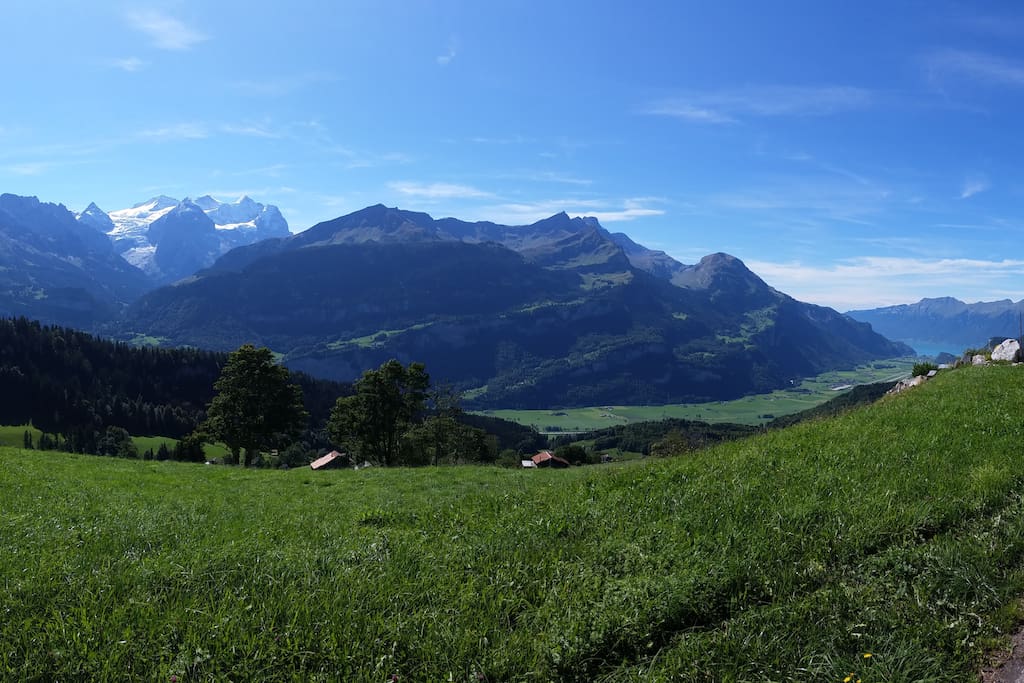 Wetterhorn