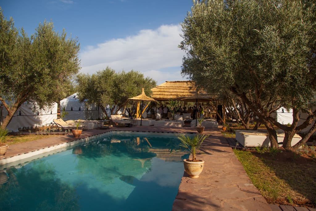 Piscine & Bar