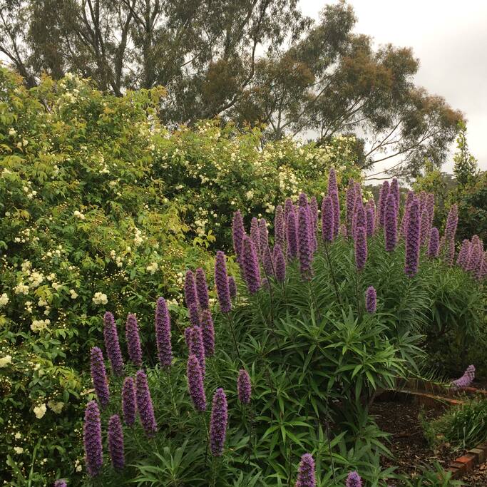 Spring garden
