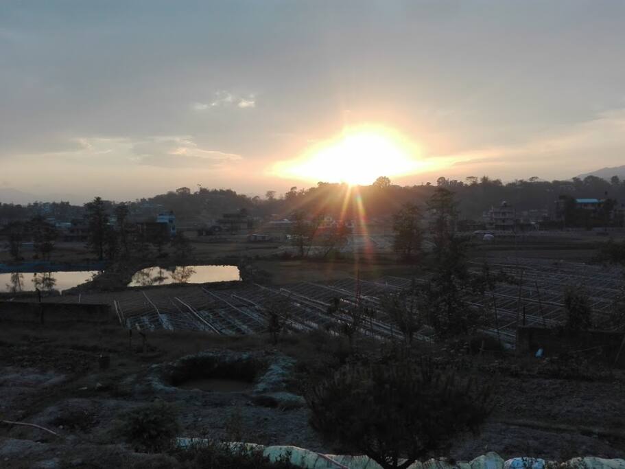 Evening view
